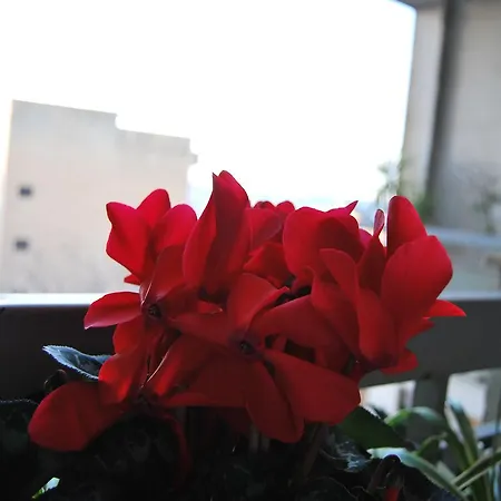 La Casa Reggina 3*